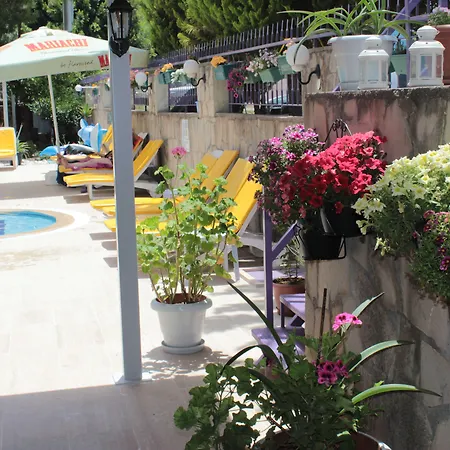 Victoria Princess 4* 锡德